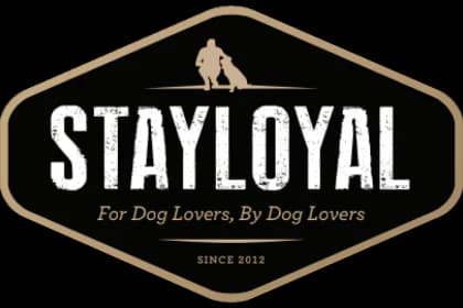 Stay Loyal Logo